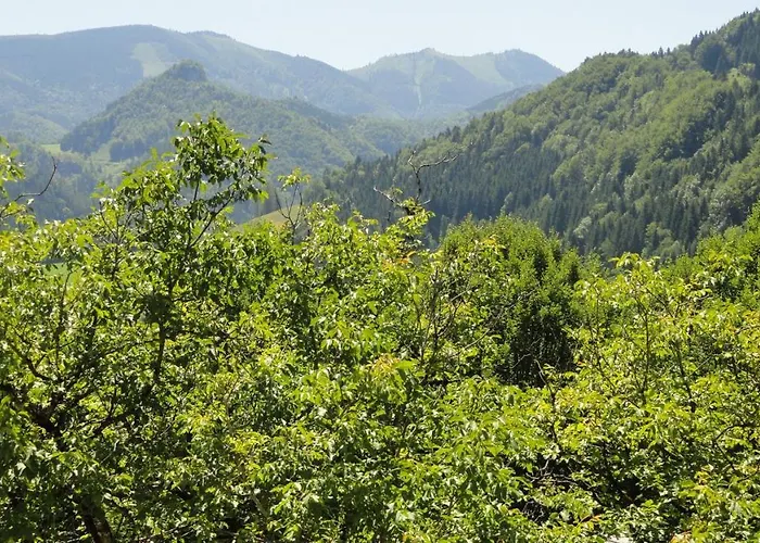 Ennstalerhof Szálloda Grossraming